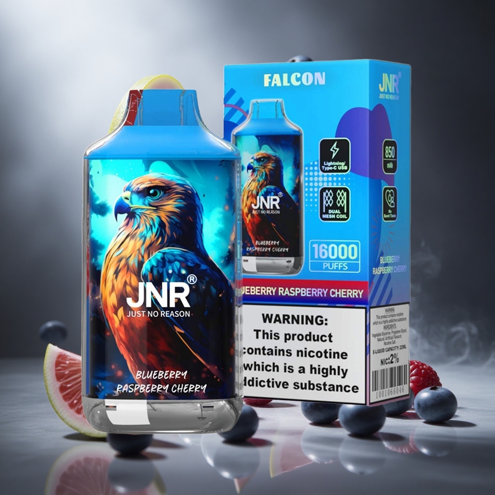 Borówka Malina Wiśnia JNR Falcon 16000 Puffs Poland wholesale Dual Mesh Coil Smart LED Display