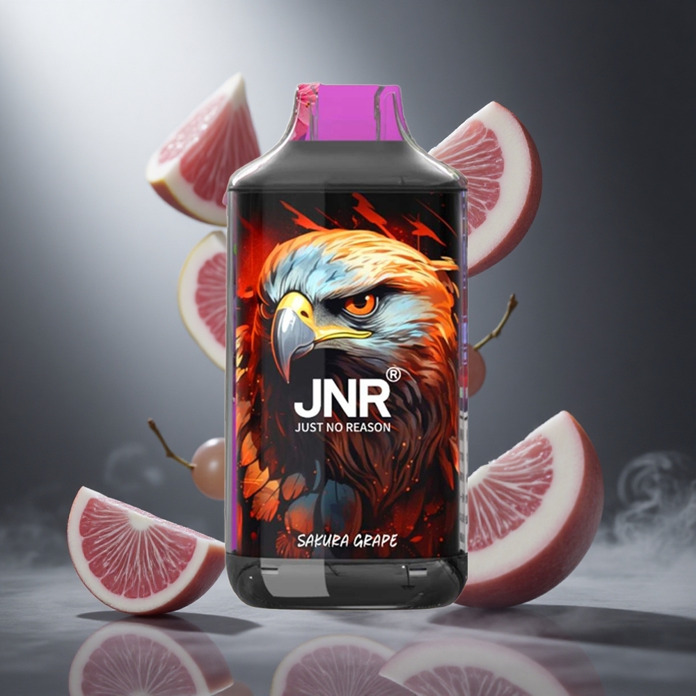 Wiśniowo-Winogronowy JNR Falcon 16000 Puffs Poland wholesale Dual Mesh Coil 22ml