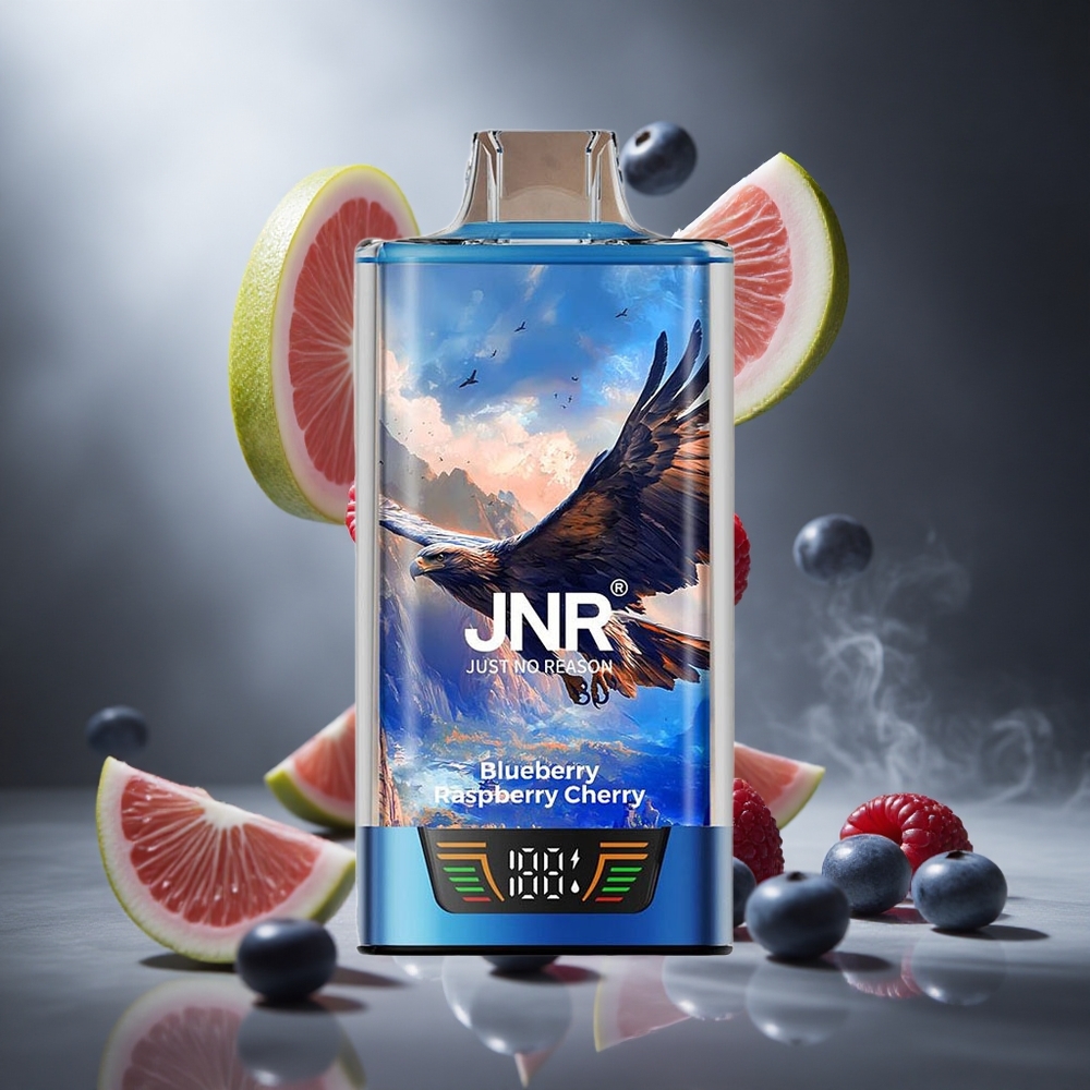 Borówka Malina Wiśnia JNR Falcon Pro 28000 Puffs Poland wholesale Dual Mesh Coil USB Type-C