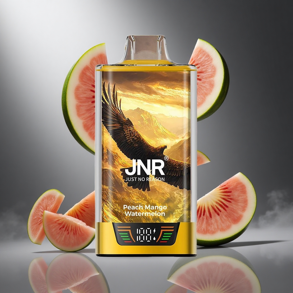 Brzoskwinia Mango Arbuz JNR Falcon Pro 28000 z 28000 Zaciągnięćami Poland wholesale USB Type-C