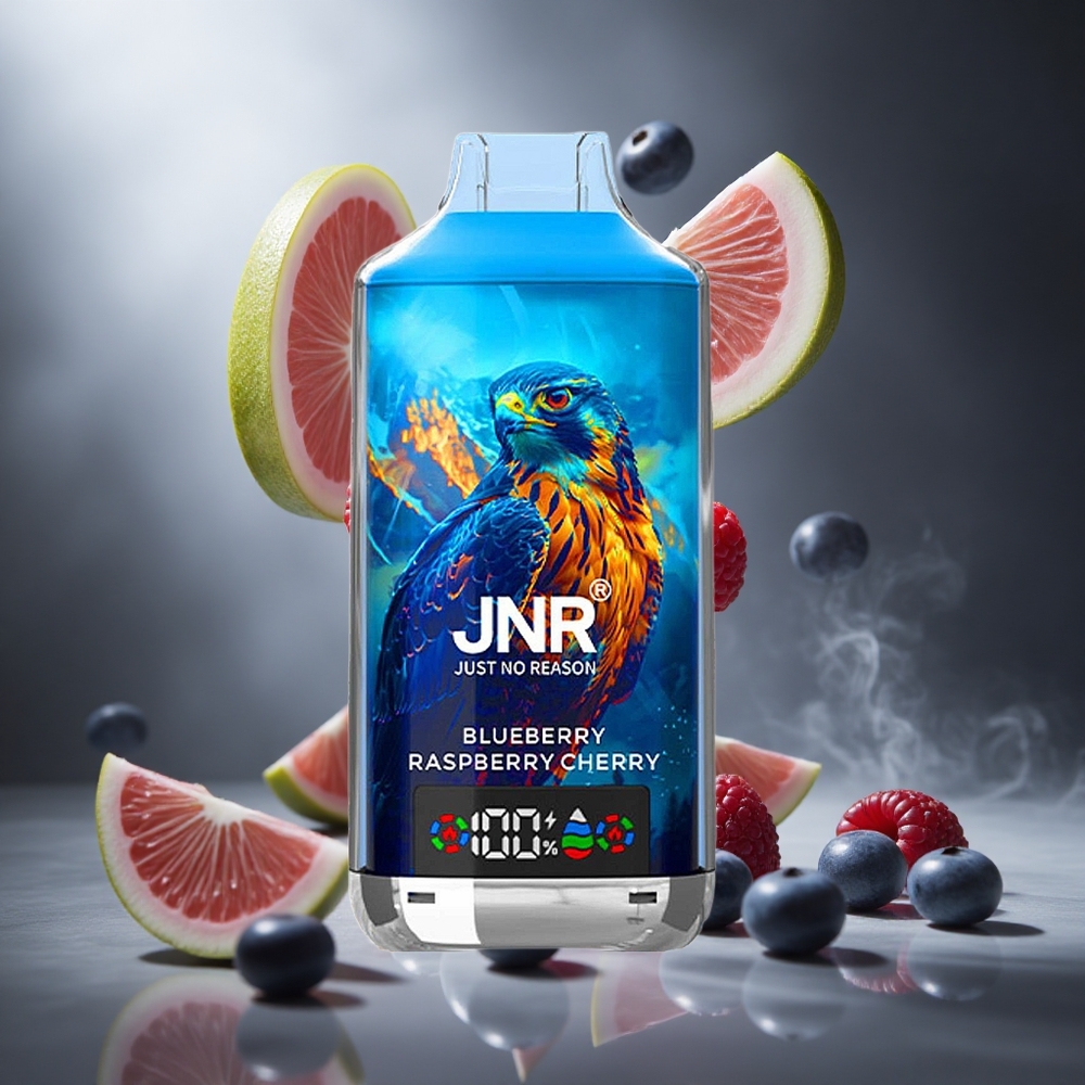 Borówka Malina Wiśnia JNR Falcon X 18000 Puffs Poland wholesale Cyfrowy Wyświetlacz Typ-C Szybkie Ładowanie