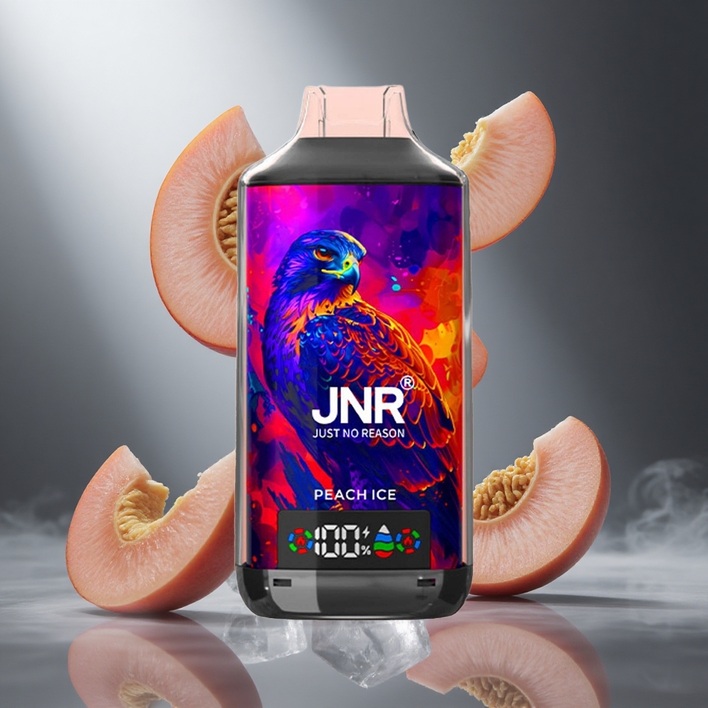 Brzoskwinia Lód JNR Falcon X 18000 Puffs Poland wholesale Dual Mesh Coil & Dual Core