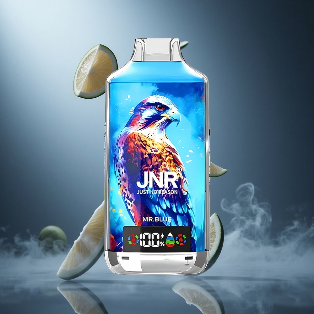 Niebieski Mr. Blue JNR Falcon X 18000 Puffs Poland wholesale Cyfrowy Wyświetlacz