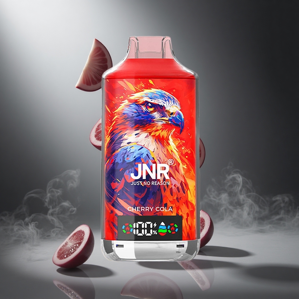 Wiśnia JNR Falcon X 18000 Puffs Poland wholesale Dual Mesh Coil & Dual Core 24ml