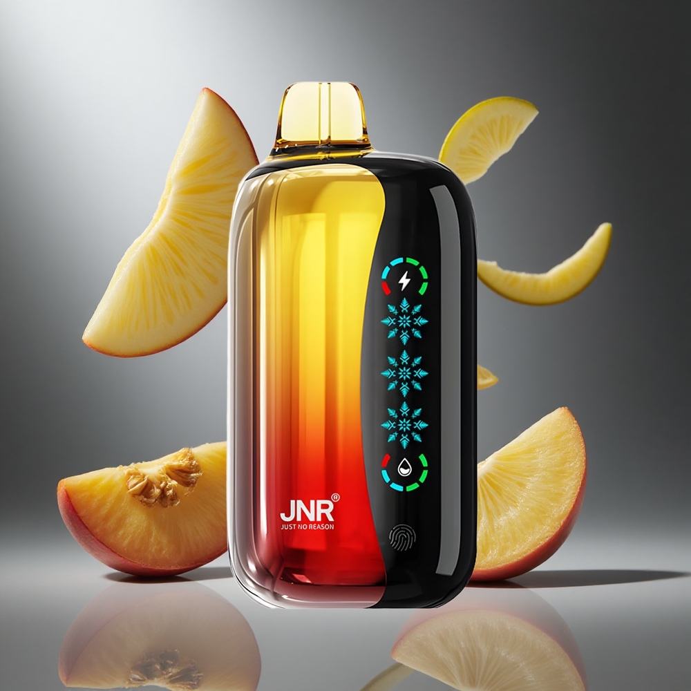 Brzoskwinia Mango Ananas JNR Flex Ice 21000 Puffs Poland wholesale Ice Adjustable Customizable Airflow