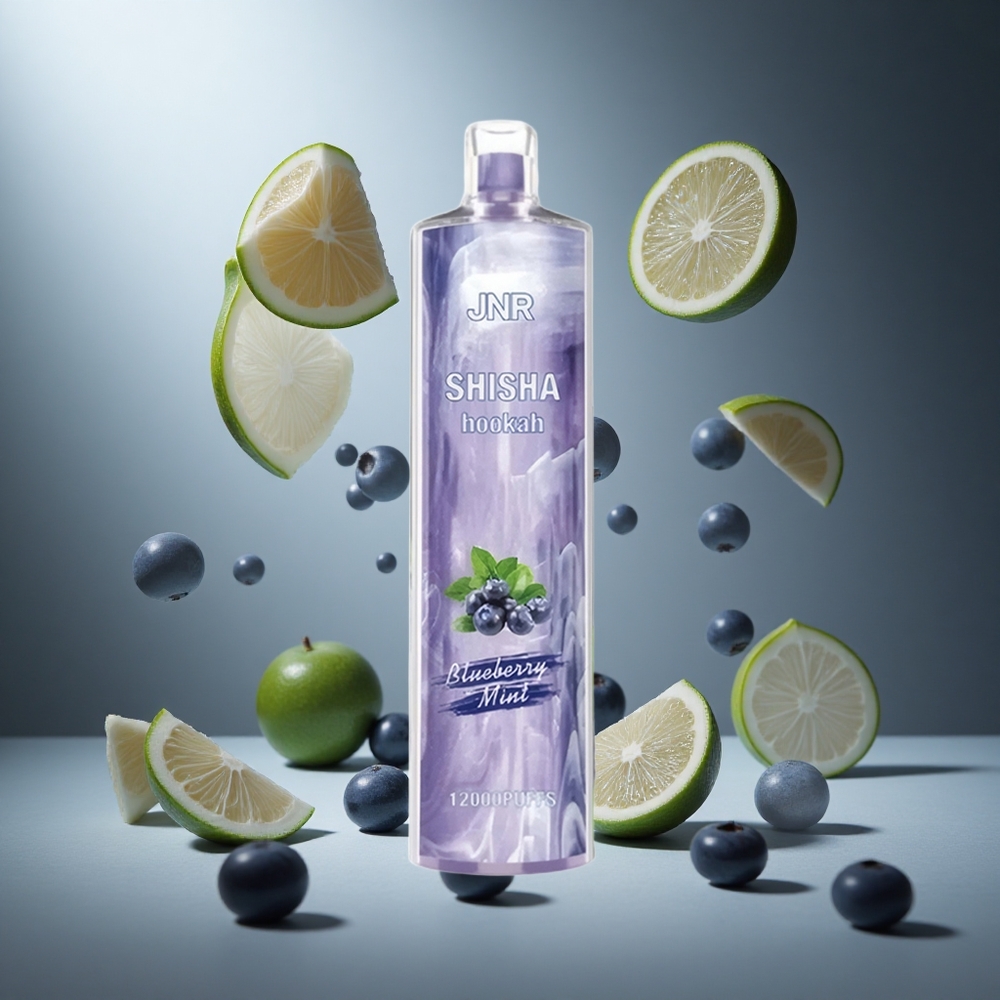 Borówka Mięta JNR Shisha Hookah 12000 Puffs Poland wholesale 24ml 750mAh