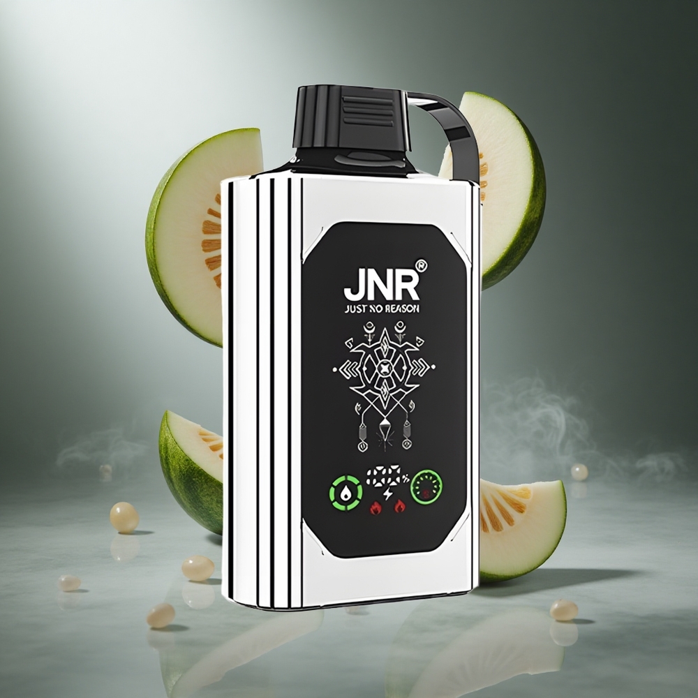 Podwójny Melon Mięta JNR Shisha Hookah Box 20500 Puffs Poland wholesale HD Display Dual Mesh Coil