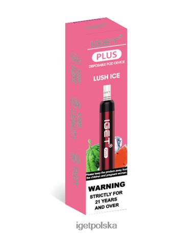 Iget Online Order - iget plus 6TP2RX33 bujny lód