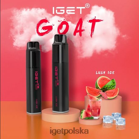 Iget Online - iget koza - 5000 zaciągnięć 6TP2RX447 bujny lód